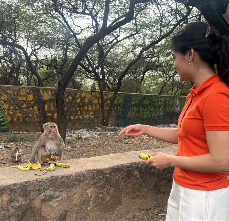 Video: मनु भाकर ने सोशल मीडिया की नफरत पर जताई चिंता, बोलीं- ज्यादा फॉलोअर्स वालों की जिम्मेदारी ज्यादा - dainiktribuneonline.com