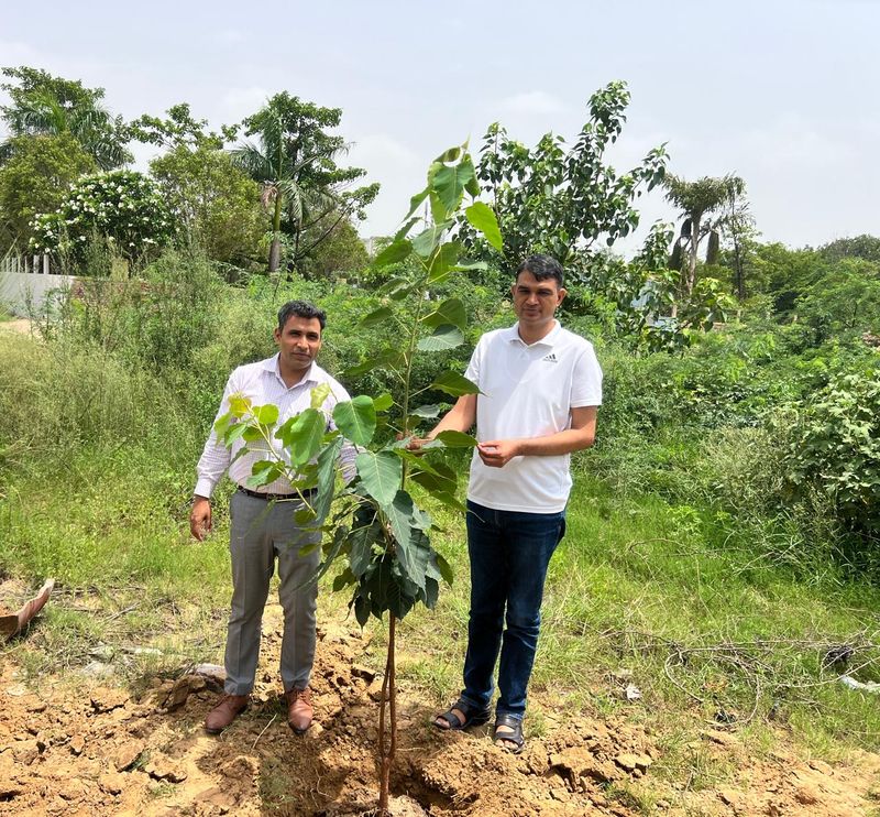 नारनौल सर्कल के नए एसई रविंद्र गोठवाल ने संभाला कार्यभार, पौधरोपण अभियान शुरू - dainiktribuneonline.com