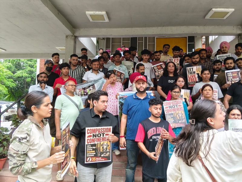 PEC चंडीगढ़ में स्ट्रे डॉग्स को लेकर एनिमल लवर्स का प्रदर्शन, डायरेक्टर राजेश भाटिया के इस्तीफे की मांग - dainiktribuneonline.com