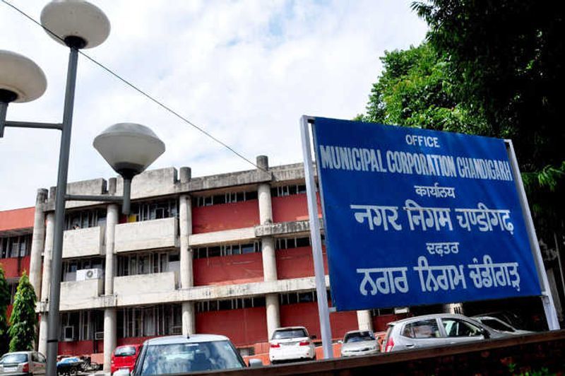 मोटर मार्केट में निगम की बड़ी कार्रवाई, 48 वाहन जब्त - dainiktribuneonline.com