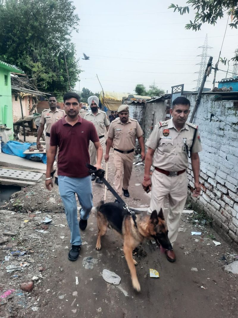 खड़क मंगोली में पंचकूला पुलिस का कॉम्बिंग ऑपरेशन - dainiktribuneonline.com