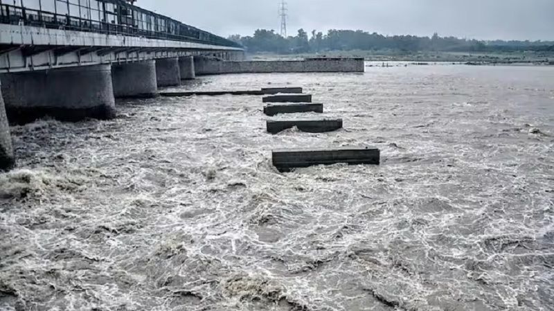 पहाड़ों की बारिश का असर... मथुरा में यमुना का बढ़ता जलस्तर बना चिंता का कारण, अफसरों को अलर्ट रहने के निर्देश - dainiktribuneonline.com