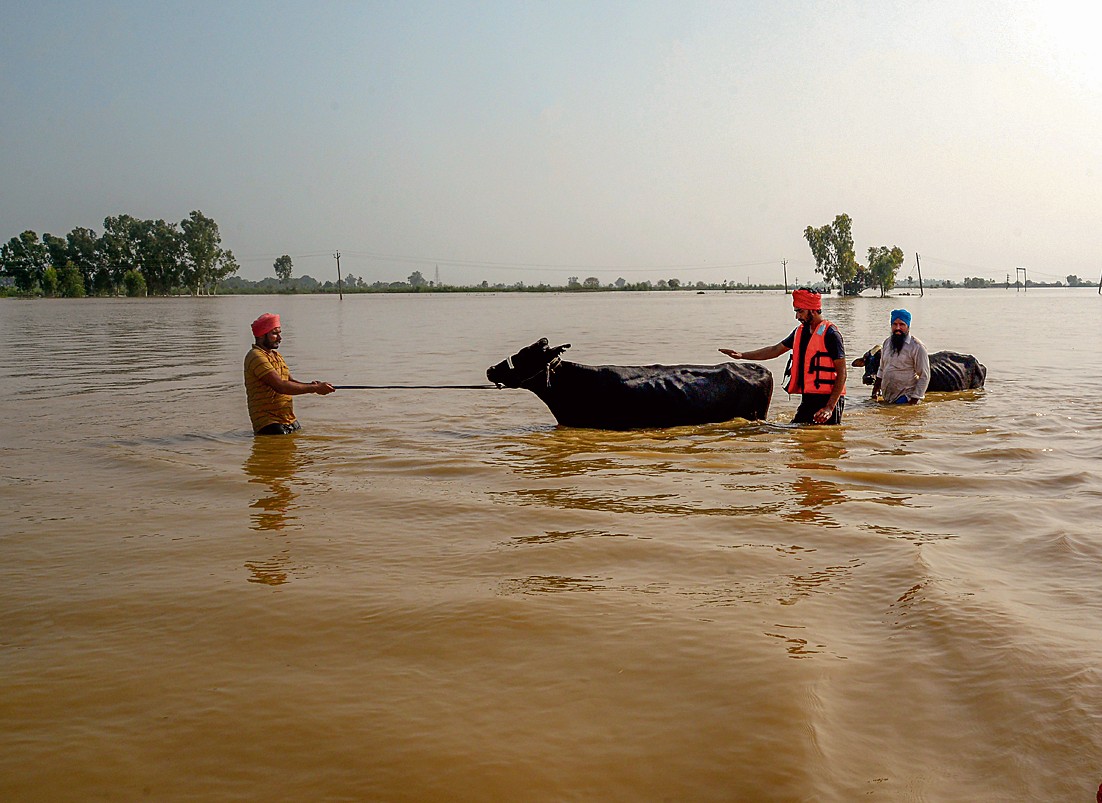 पंजाब के 89 और गांव बाढ़ में डूबे