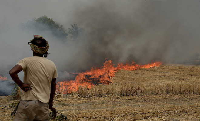 2.75 lakh fine recovered from those who burn stubble – Presswire18